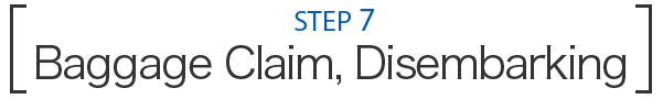 STEP 7 Baggage Claim, Disembarking