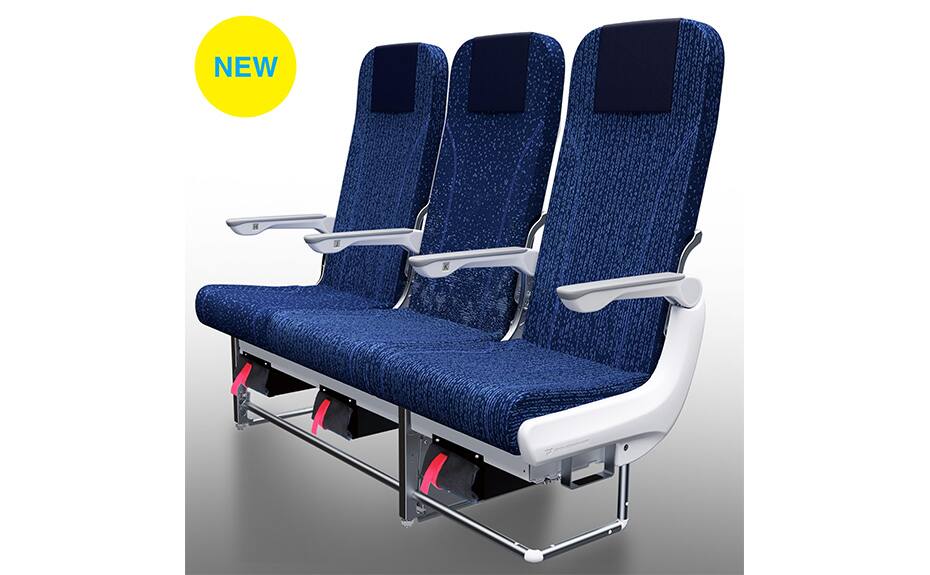 Economy Class Seat for Domestic Flights