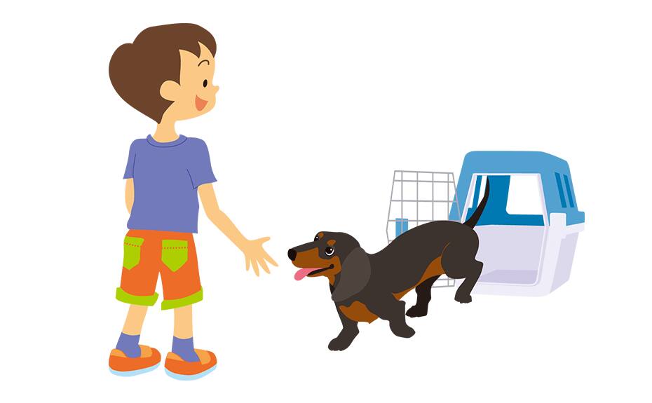 少年と犬のイメージ