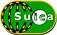 Suica（ANA VISA Suicaカード会員限定）