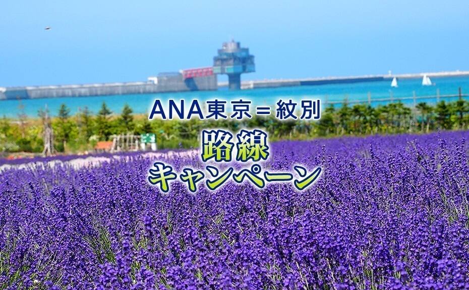 ANA東京＝紋別　路線キャンペーン