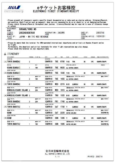 Sample e-Ticket Itinerary Receipt