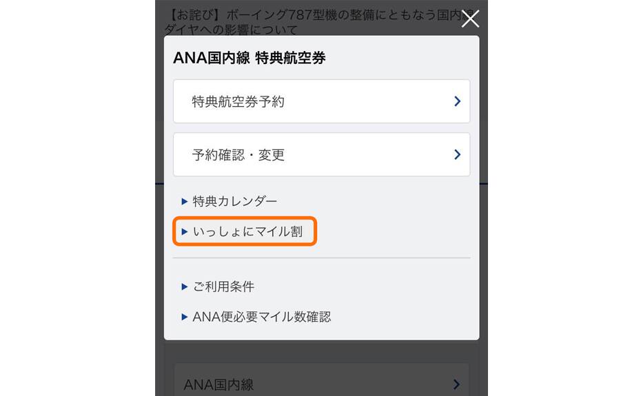 ASW国内線画面キャプチャ