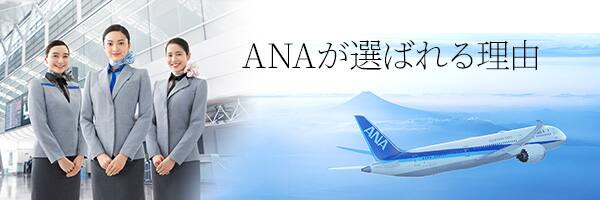 ANAは、お客様の心に残る旅のひとときを、心を込めたおもてなしで彩ります。