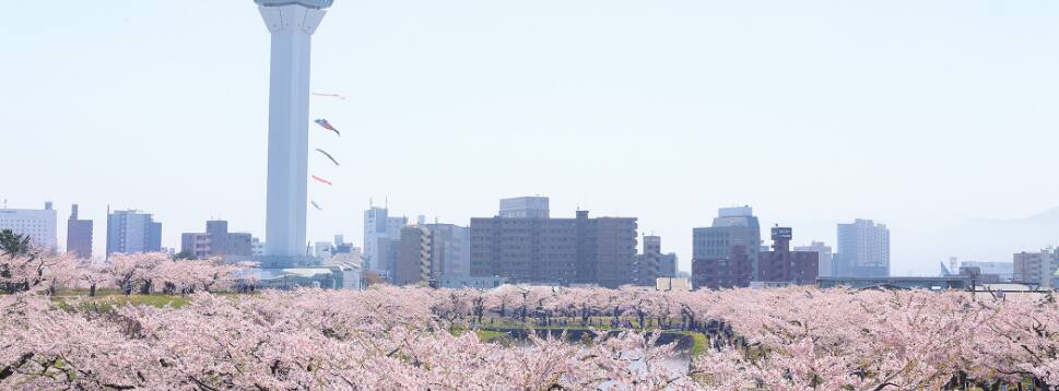 五稜郭公園（特別史跡五稜郭跡）