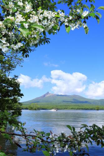 大沼合同遊船