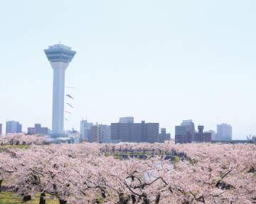 五稜郭公園（特別史跡五稜郭跡）