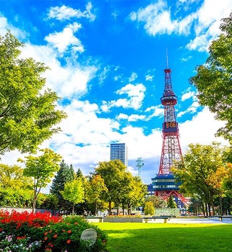札幌 大通公園（イメージ）