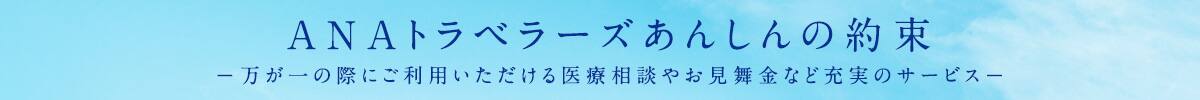 ANAトラベラーズ あんしんの約束　新型コロナウイルス感染拡大の予防に関する取り組み（別ウィンドウで開きます）