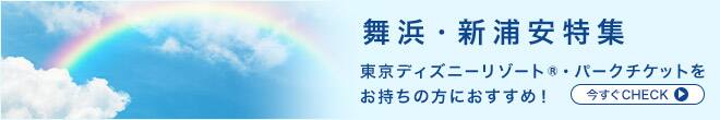 東京ディズニーランド&reg; / 東京ディズニーシー&reg;