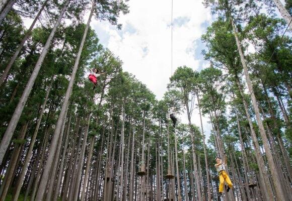 季節野菜収穫・薪割り・ピザ作り体験イメージ2
