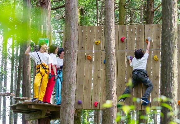 季節野菜収穫・薪割り・ピザ作り体験イメージ3