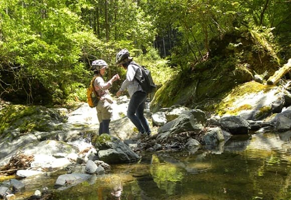 山林王の森と滝アドベンチャーBIKE&HIKE【E-bike】体験イメージ2