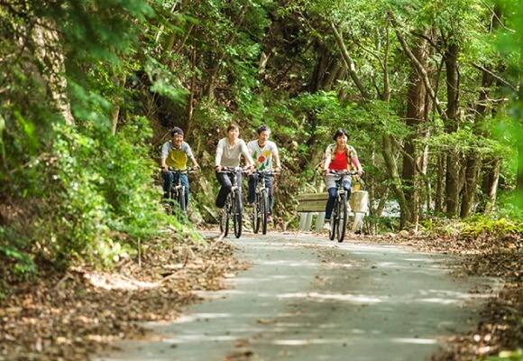 「大杉谷」秘境・絶景サイクリング体験イメージ1