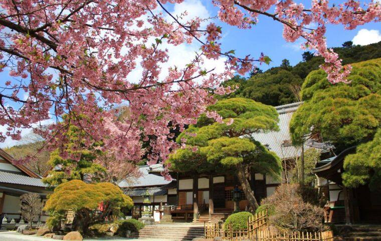 箱根神社