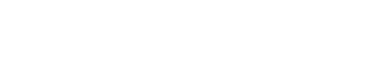 ANA Blue Academy