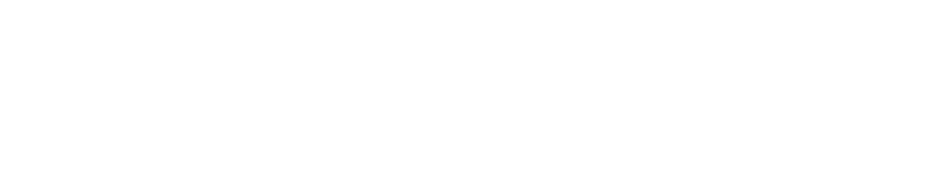 Ana Group's History TURNING POINT ~Our Journey into the Skies~