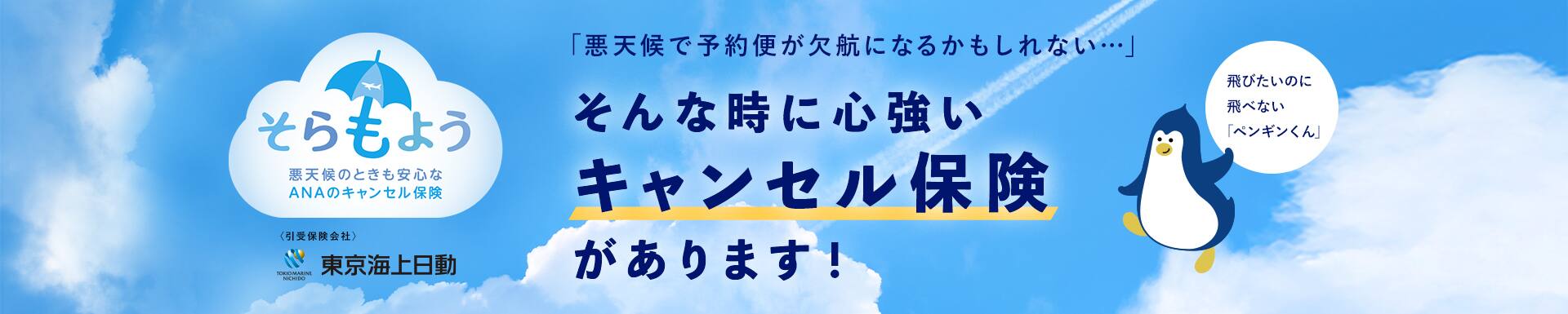 「悪天候で予約便が欠航になるかもしれない…」そんな時に心強いキャンセル保険があります！