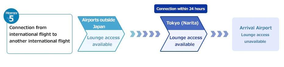 Process for Connecting From an International to an International Flight