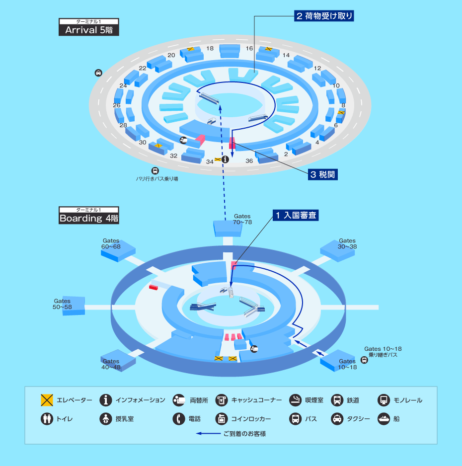 MAP画像
