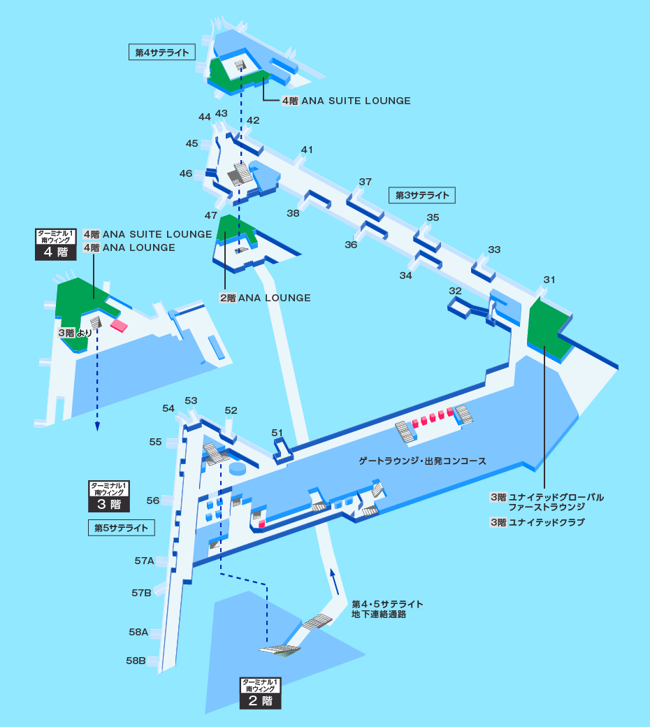 MAP画像