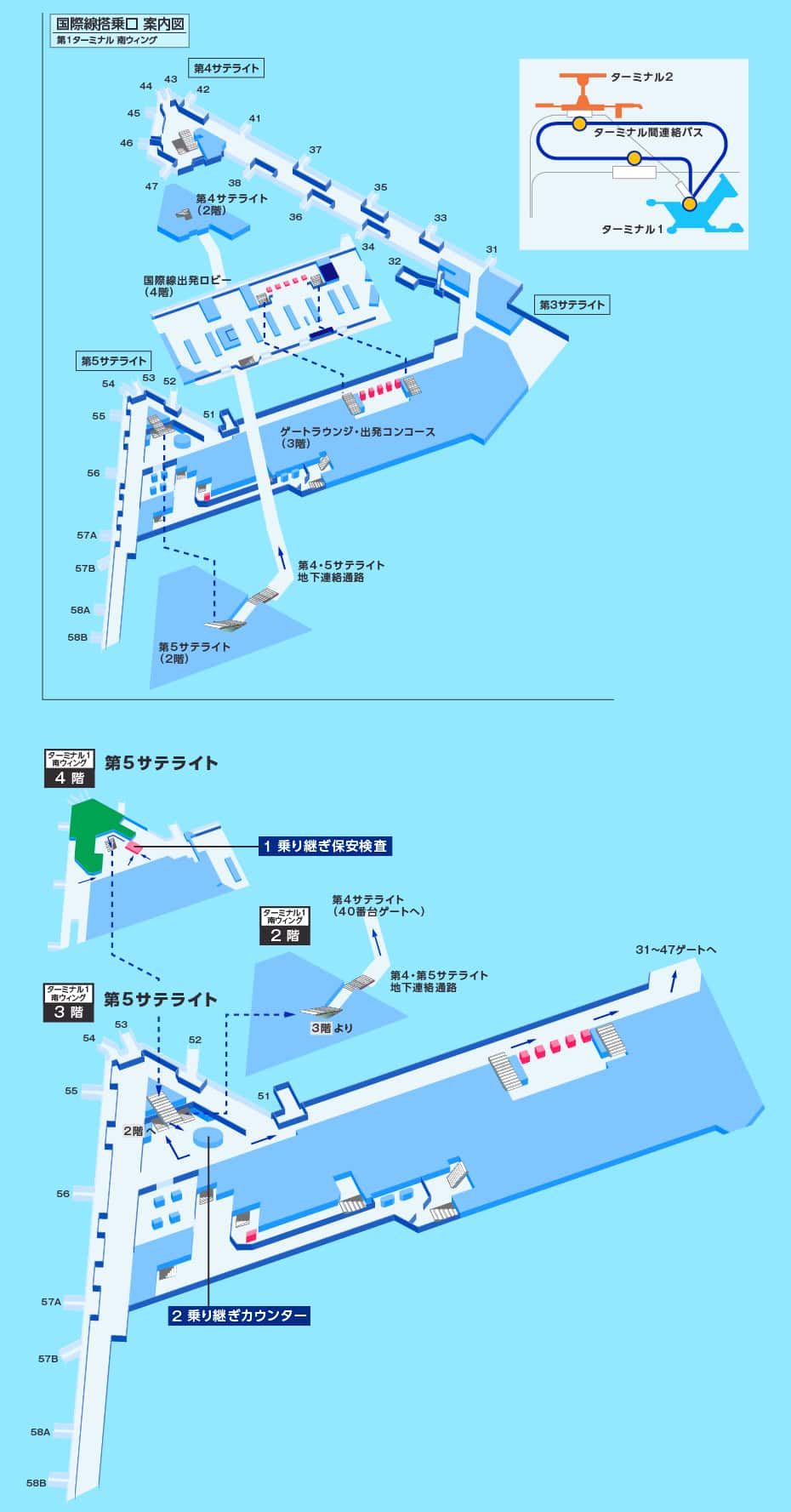 MAP画像