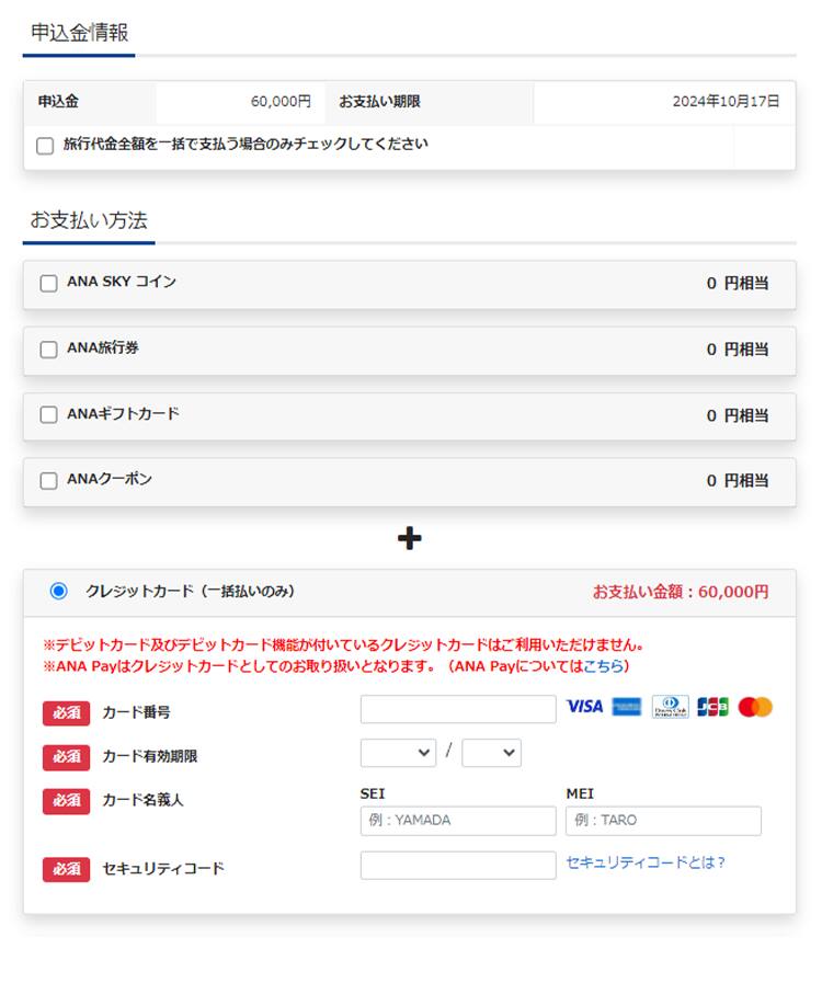 IIT運賃（包括旅行運賃）、現地ガイド同行/添乗員同行ツアー 最終確認・お支払い選択画面の画像