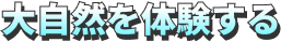 大自然を体験する