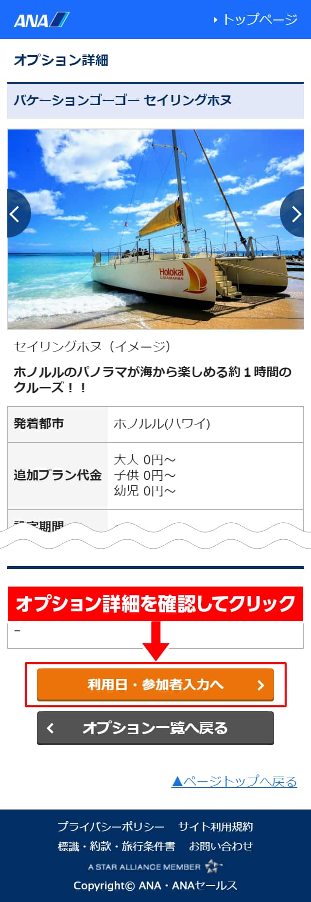オプション詳細