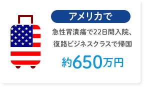 アメリカで急性胃潰瘍で22日間入院、復路ビジネスクラスで帰国 約650万円
