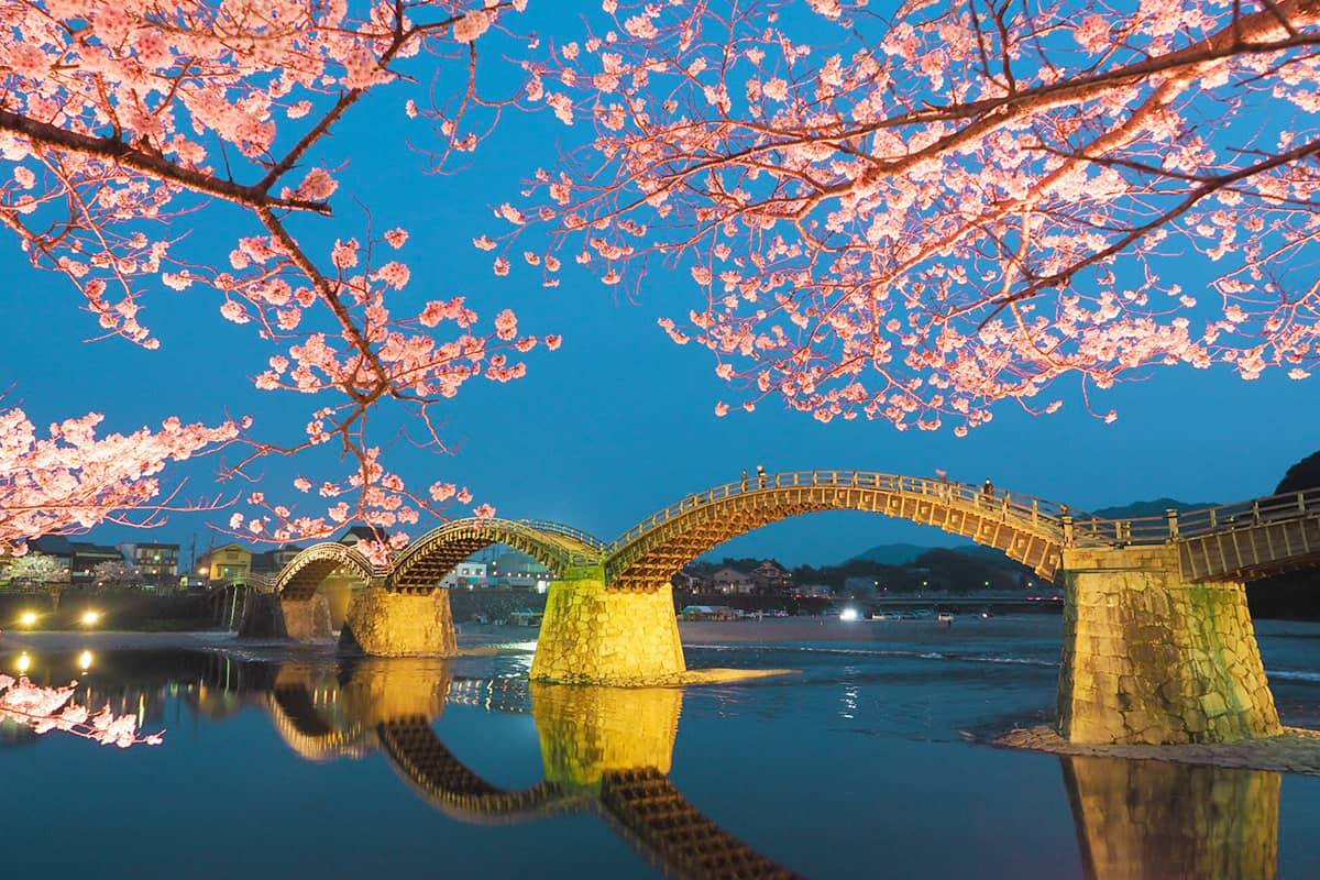 (写真) 錦帯橋 1