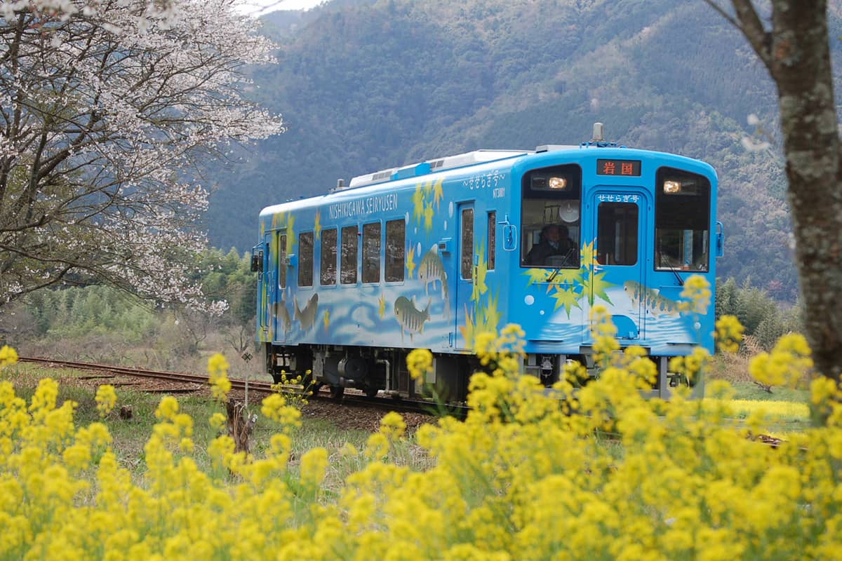 (写真) 錦川清流線＆とことこトレイン 3