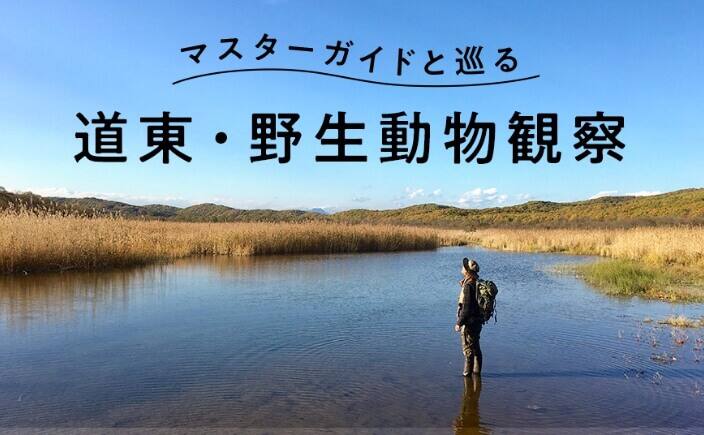 キラコタン岬MV