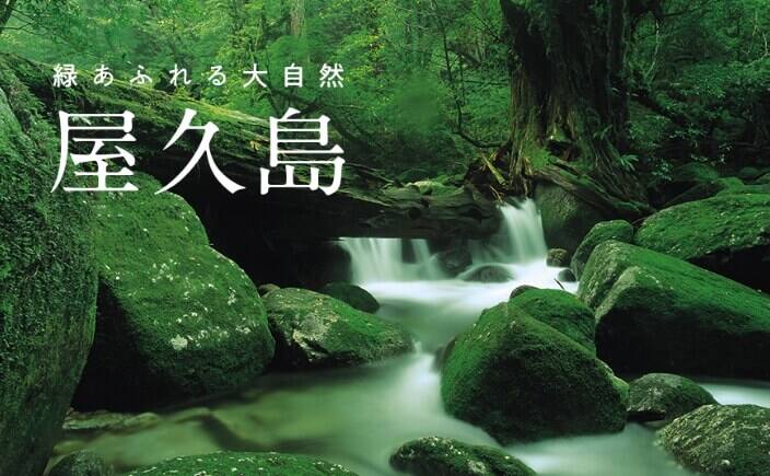 白谷雲水峡