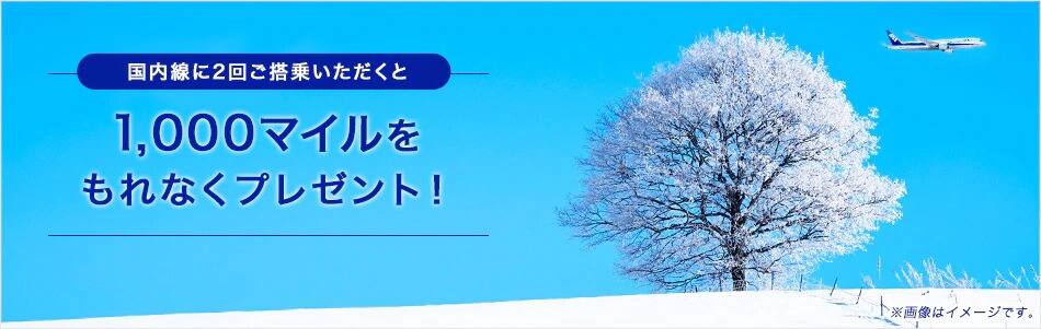 国内線に2回ご搭乗いただくと1,000マイルをもれなくプレゼント！
