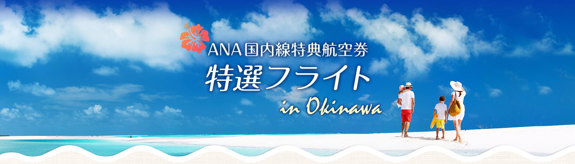 ANA国内線特典航空券 特選フライト