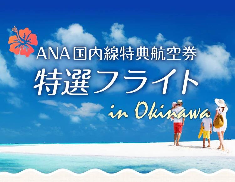 ANA国内線特典航空券 特選フライト