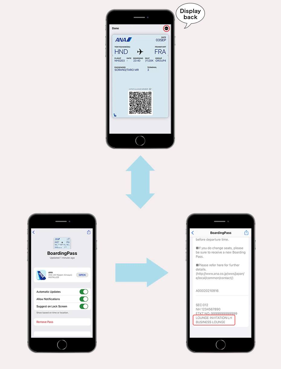 Image of displaying the pass