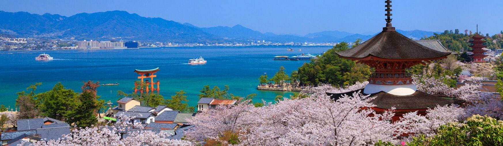 日本の春