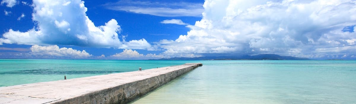 日本の夏