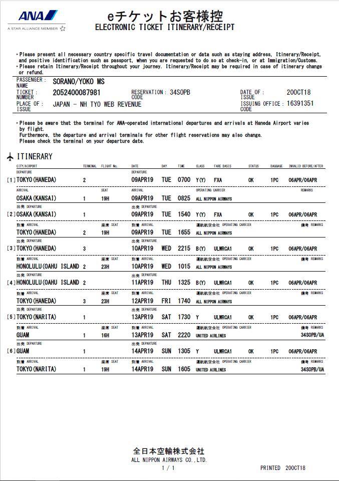Sample e-ticket itinerary receipt