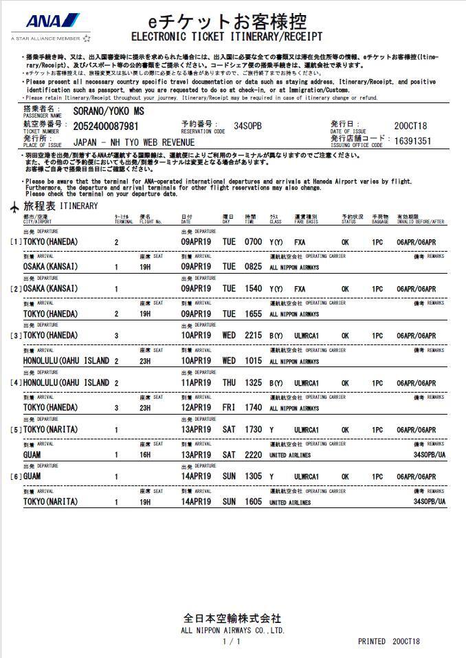 eチケット旅程お客様控の例