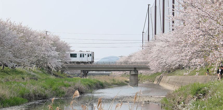 a landscape of Fukuoka