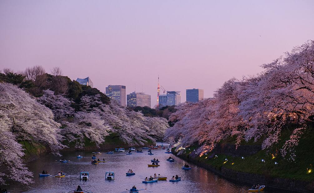 東京の写真